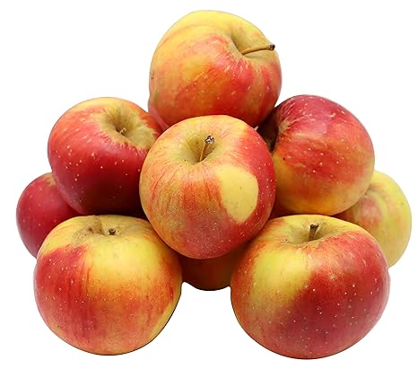 Bleichhof Apples Relinda